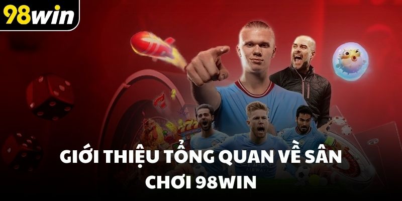 Giới thiệu tổng quan về sân chơi 98win