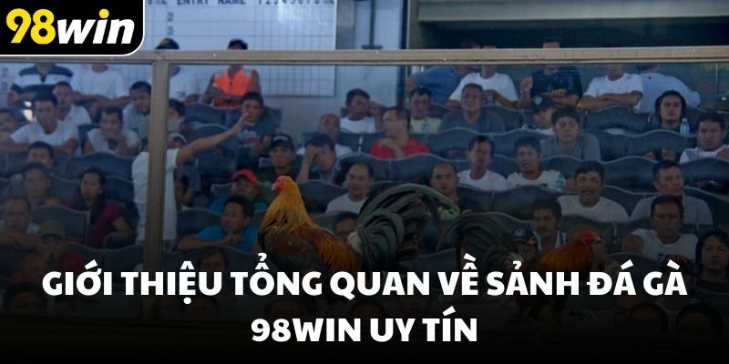 Giới thiệu tổng quan về sảnh đá gà 98win uy tín